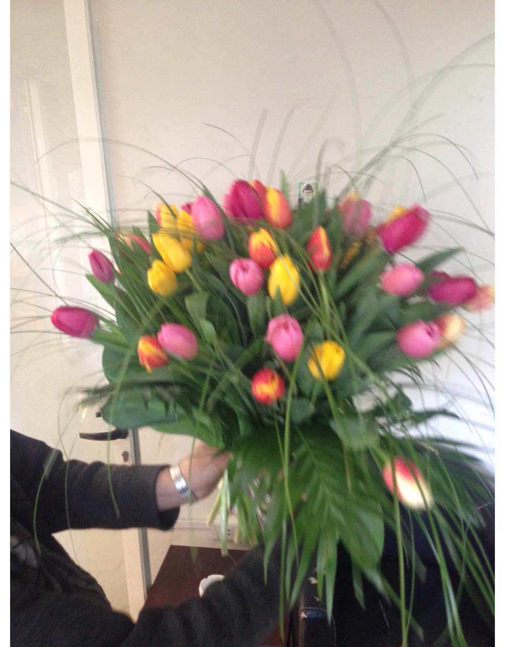 St Elie Flowers lebanon,Florists in lebanon, lebanon florists, flowers in lebanon, lebanon flowers, flower shops in lebanon, lebanon flower shops, send flowers in lebanon, wedding flowers in lebanon, lebanon wedding flowers, wedding bouquets in lebanon, bridal bouquets in lebanon, brdie bouquet in lebanon, roses in lebanon, tulips in lebanon, flower arrangements in lebanon, baby flower arrangement in lebanon, new born flower arrangements in lebanon, flower gifts in lebanon, birthday flower arrangement in lebanon, valantines roses in lebanon, valentines flower arrangements in lebanon, valentine gifts in lebanon, flower shop in lebanon,plants nursery in lebanon, landscaping in lebanon, Nursry plants, flowers, landscaping, wedding flowers, bouquets for all occasions, valentines roses, mothers day roses, newly born baby flowers, plants in pots, plants for the garden, money tree, bonsai tree